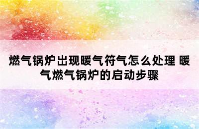 燃气锅炉岀现暖气符气怎么处理 暖气燃气锅炉的启动步骤